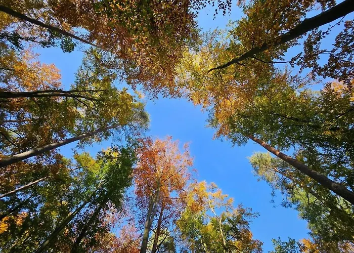 Liebevoll Eingerichtetes * Rechlin